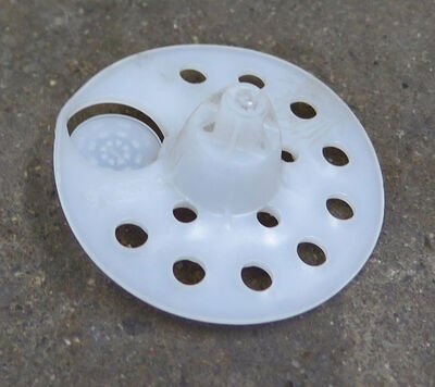 Dybelskive til træ uden skrue - 100 stk