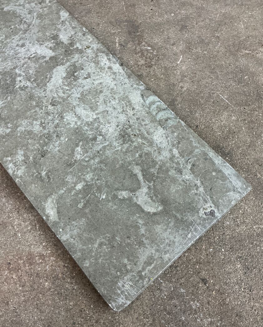 Ølandssten med to fossiler