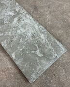 Ølandssten med to fossiler