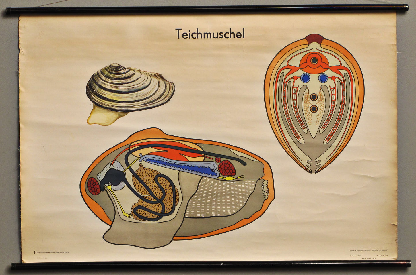 Undervisningsplanche fra DDR