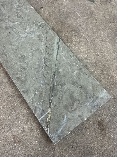 Ølandssten med tre fossiler