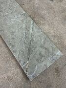 Ølandssten med tre fossiler