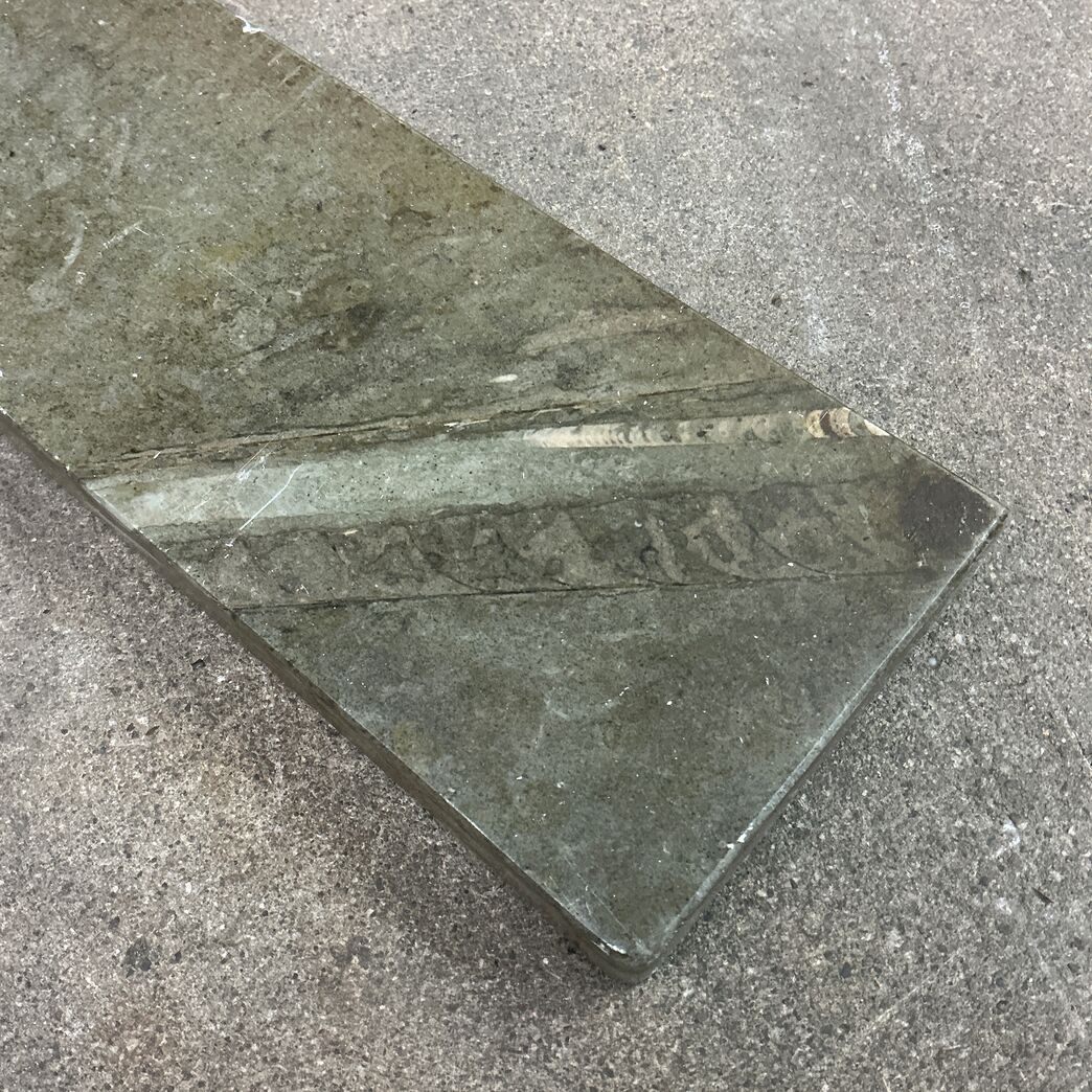 Ølandssten med 22 cm. fossil