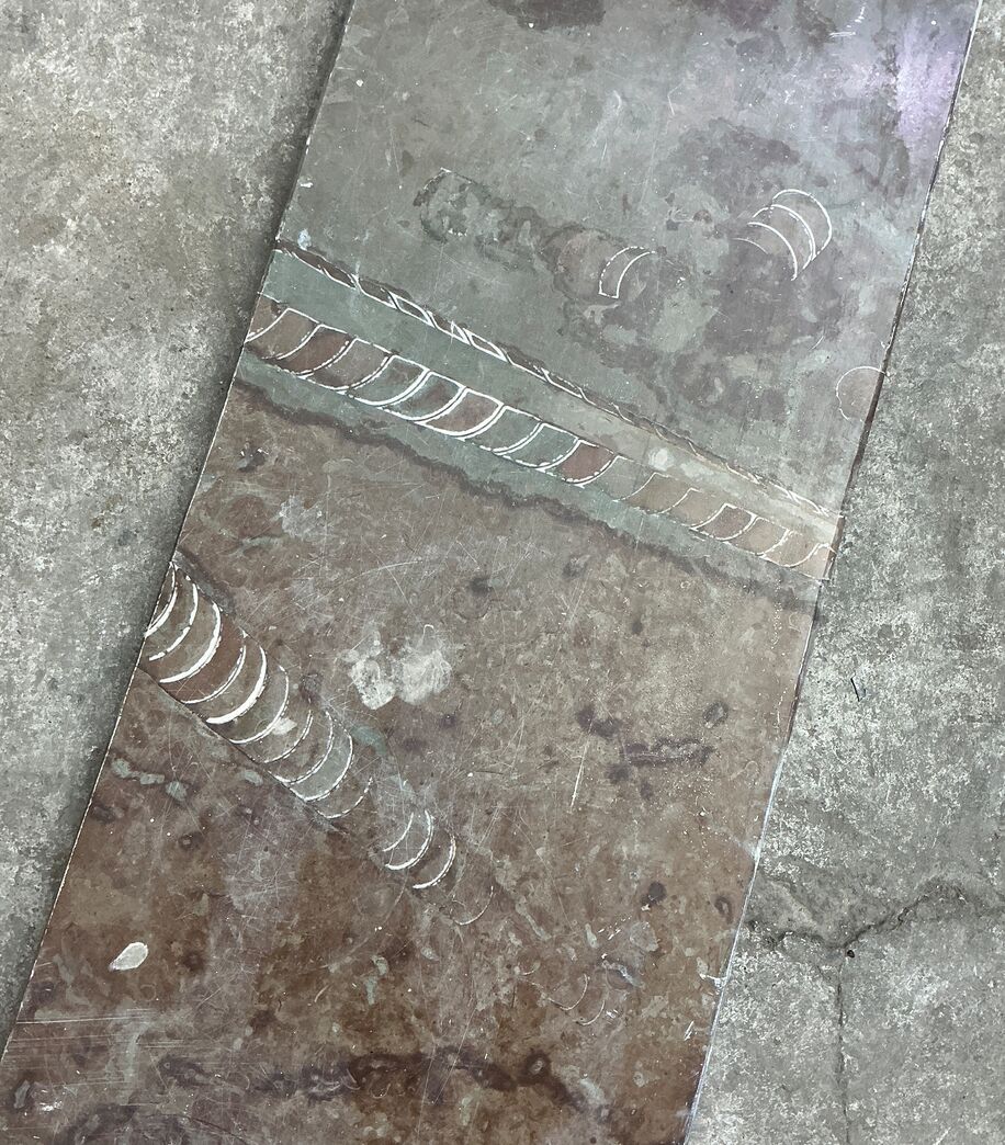 Ølandssten med to fossiler