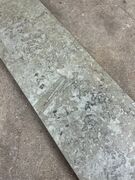 Ølandssten med to 14 cm fossiler