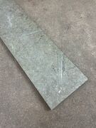 Ølandssten med to fossiler