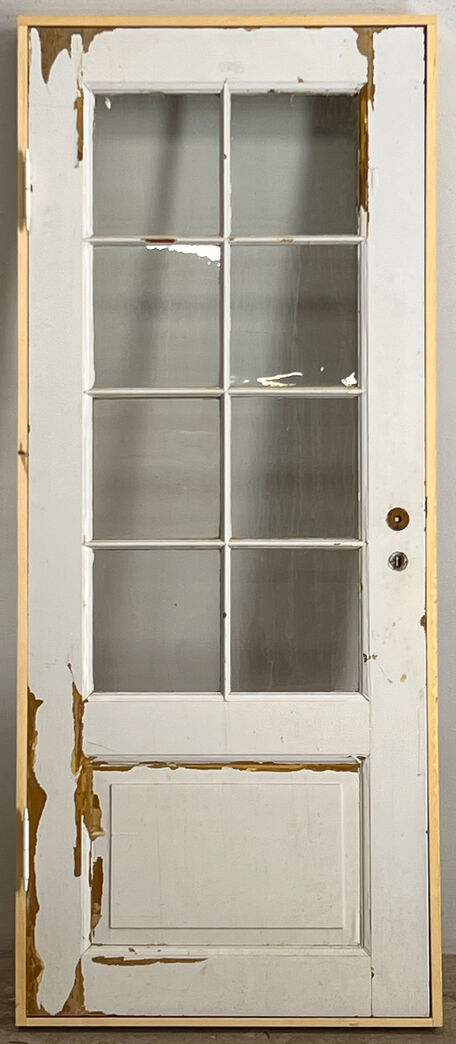 Fyldningsdør med glas og karm