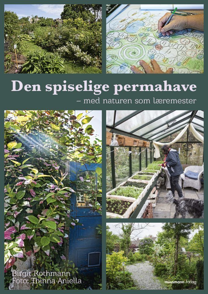 Den spiselige permahave - Birgit Rothmann
