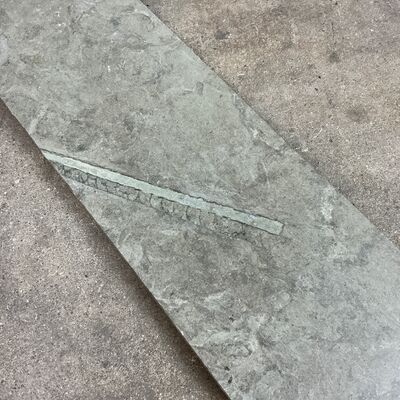 Ølandssten med 31 cm langt fossil