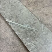 Ølandssten med 31 cm langt fossil