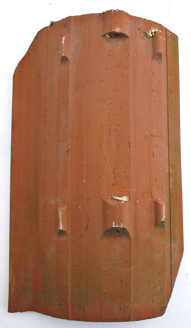 Vingetegl - Højslev