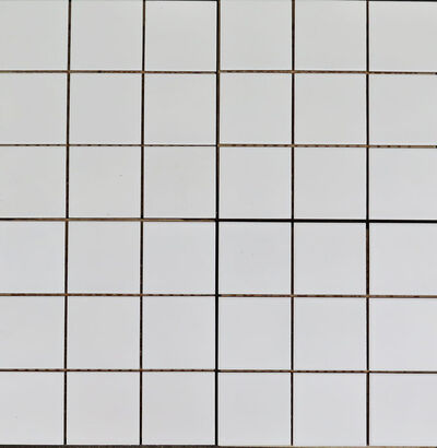 Vitra hvide fliser på net - 1 m2