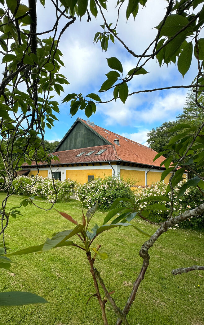 Bøgeparket fra sportshal