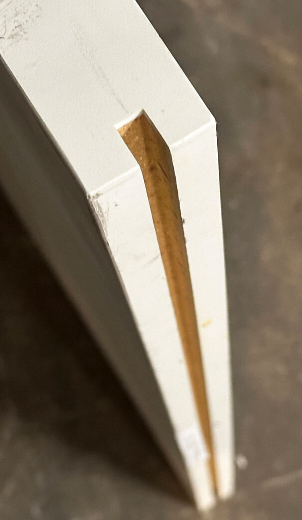 Ny skydedør med papegøjelås fra Swedoor