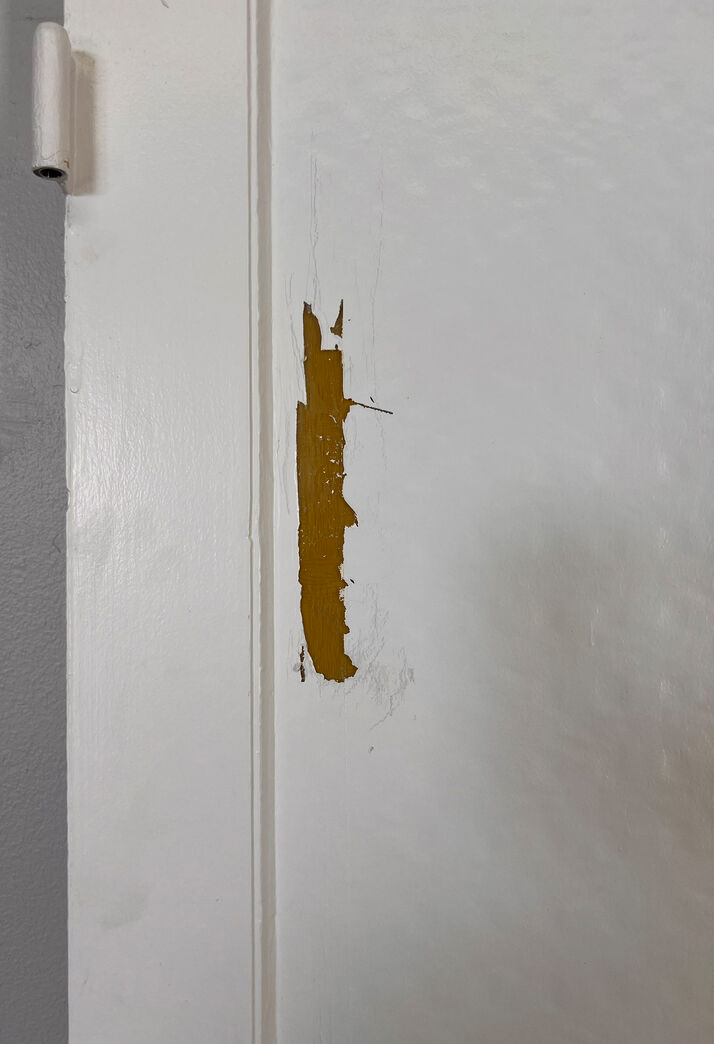 Fyldningsdør med glas uden karm