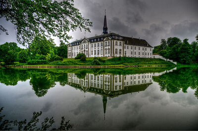 Egetræs terrassebrædder- 22x160x480 Egetræs terrassebrædder- 22x160x480