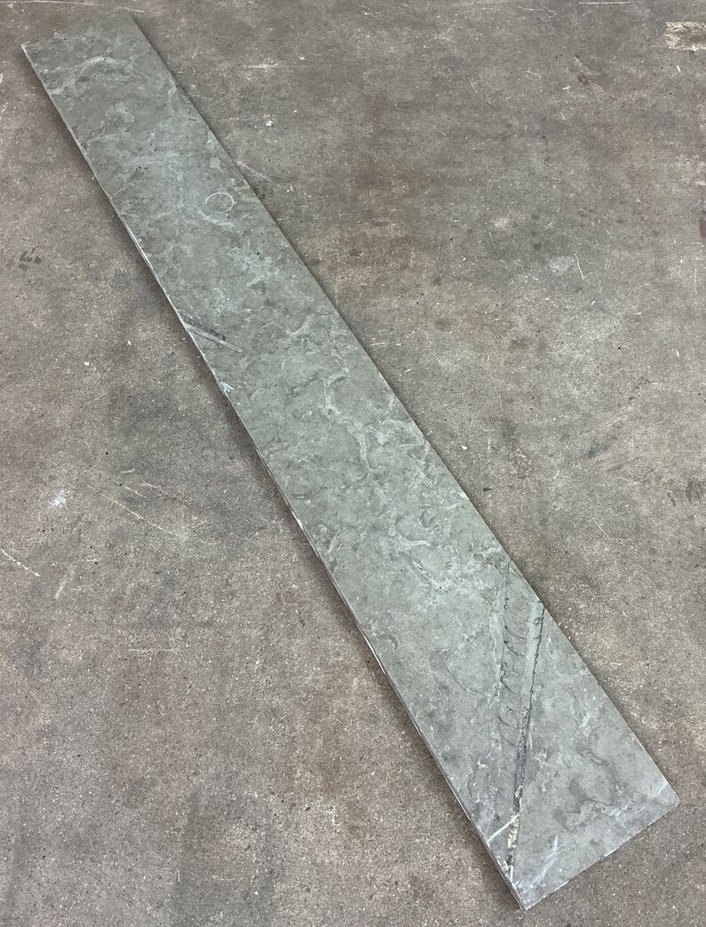 Ølandssten med tre fossiler