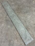 Ølandssten med tre fossiler