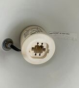 Asger bc - Bissen (arm 35 cm)