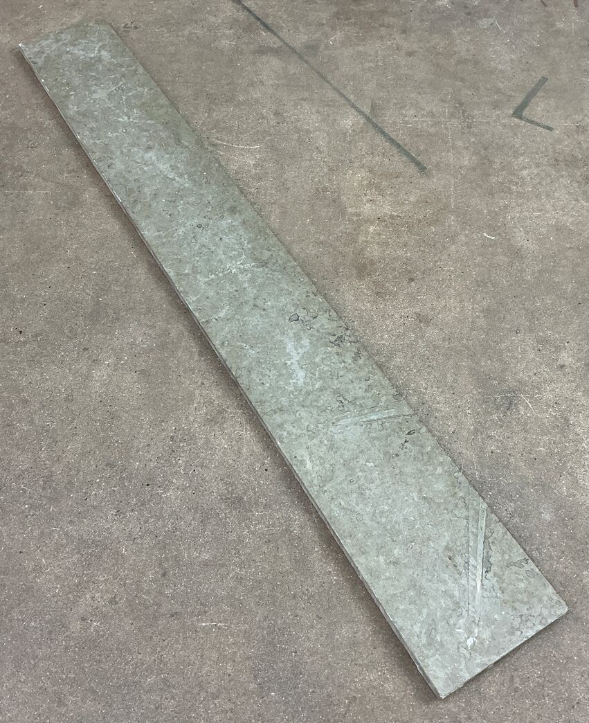 Ølandssten med to fossiler