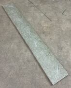 Ølandssten med to fossiler