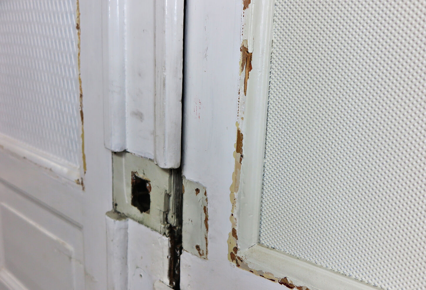 Dobbelt fyldningsdør med glas - i karm