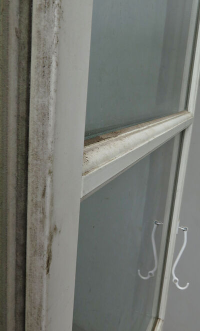 Termovindue med sprosser fra Rationel