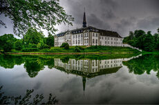Egetræs terrassebrædder - 45x160mm 12 stk