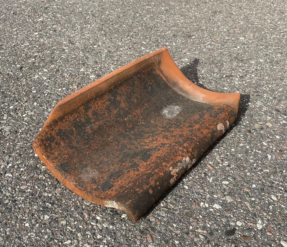 Vingetegl - Dan tegl