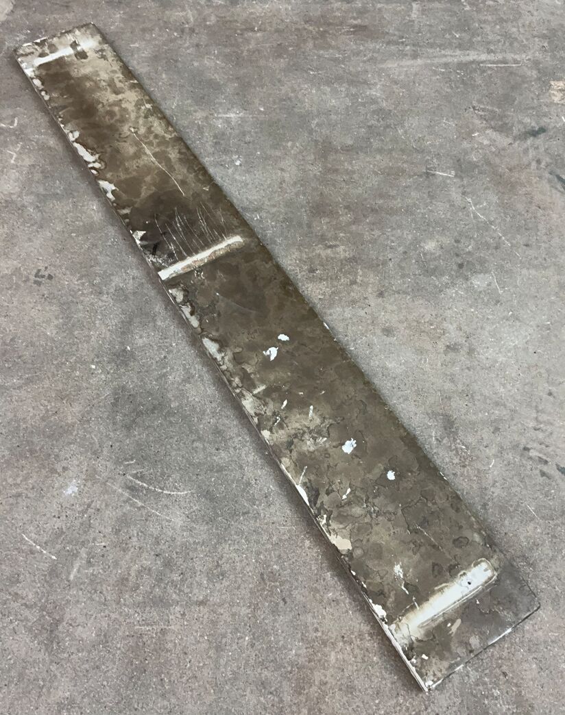 Ølandssten med 31 cm langt fossil