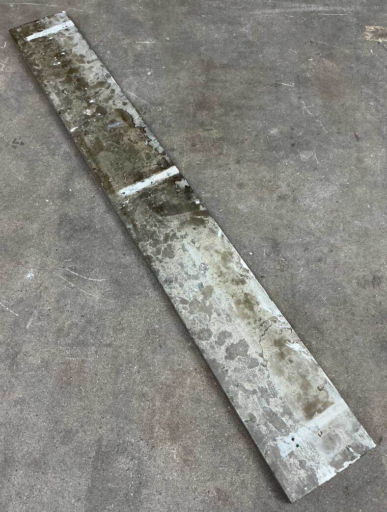 Ølandssten med tre fossiler