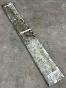 Ølandssten med tre fossiler