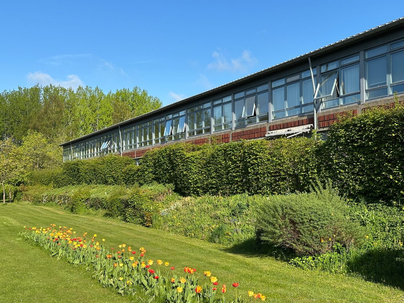 Væglampe i plast ø20 cm