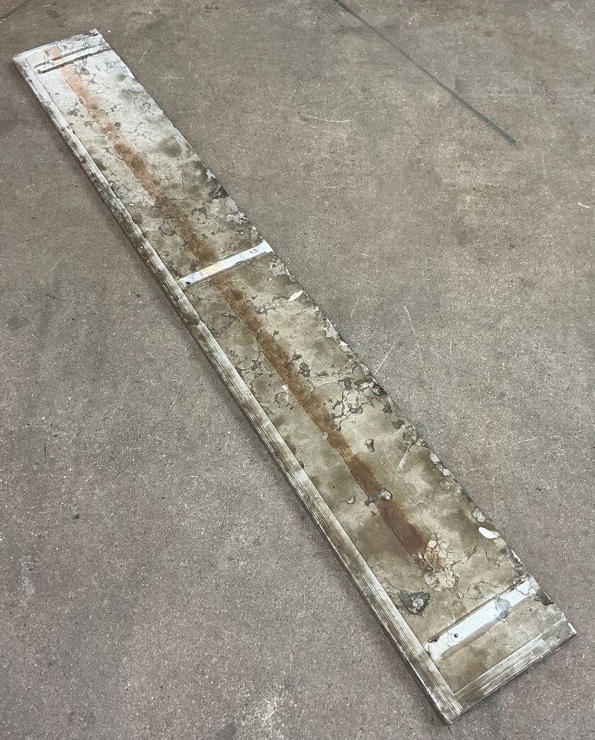 Ølandssten med to fossiler