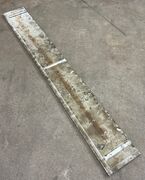 Ølandssten med to fossiler