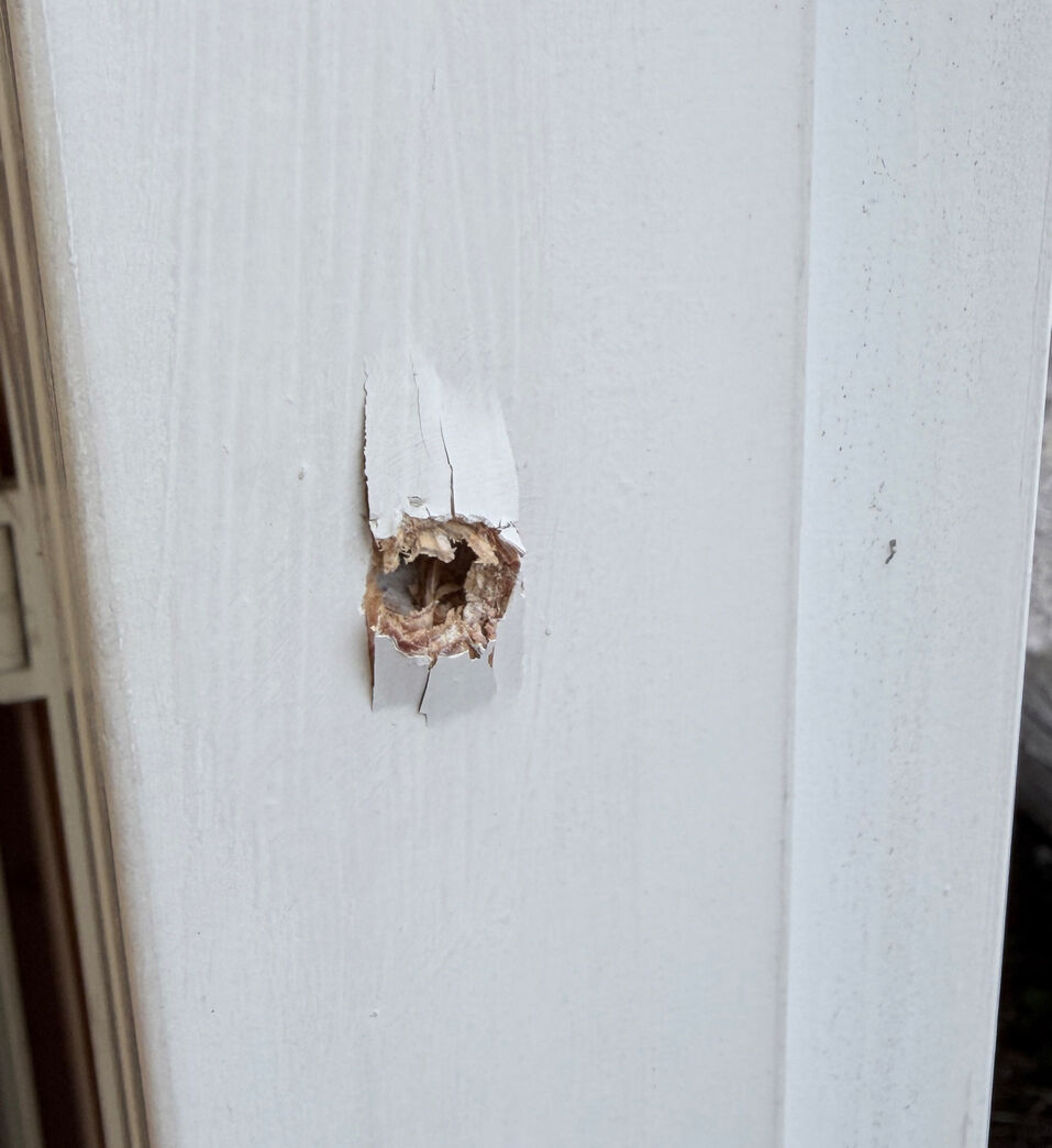 Rationel udestue med 10 stk elementer