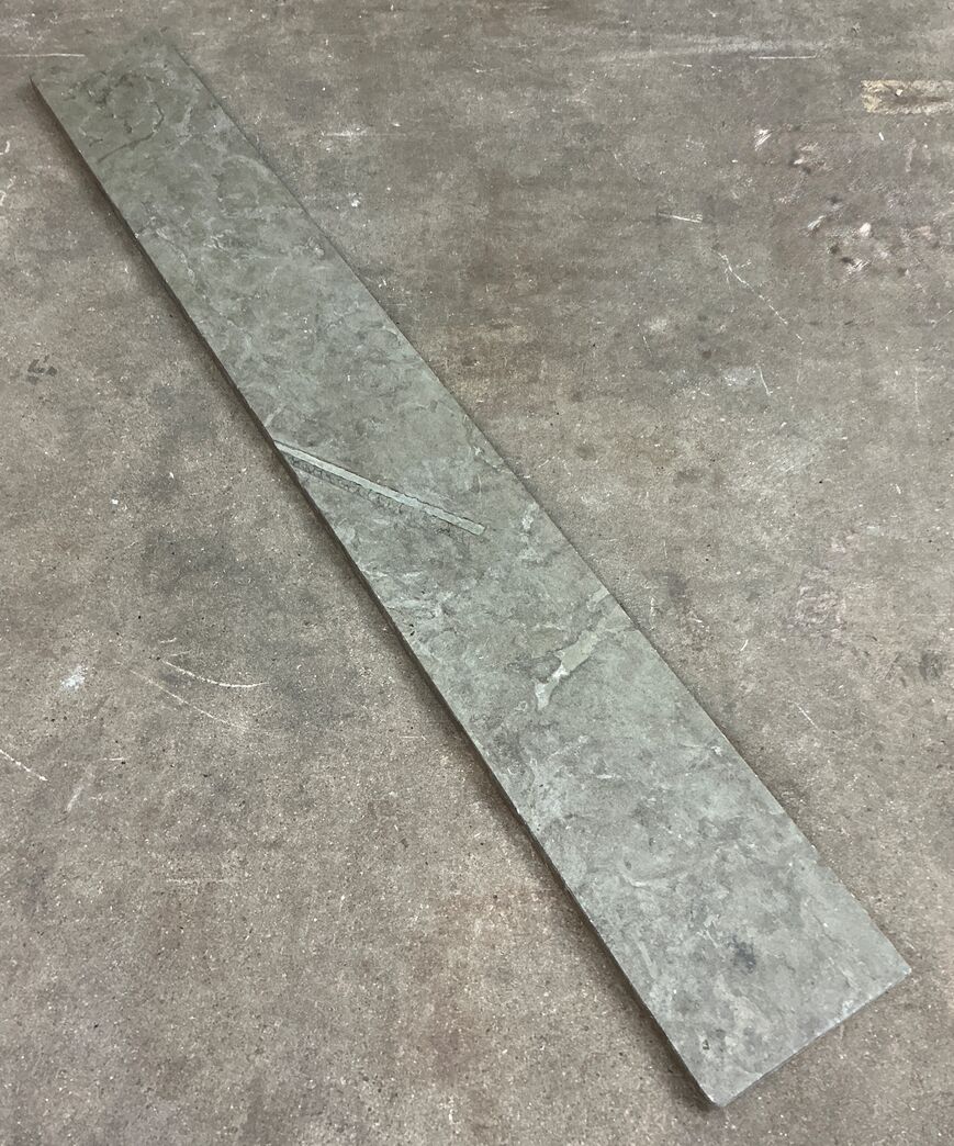 Ølandssten med 31 cm langt fossil