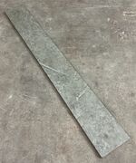 Ølandssten med 31 cm langt fossil