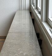 Ølandssten med 22 cm. fossil