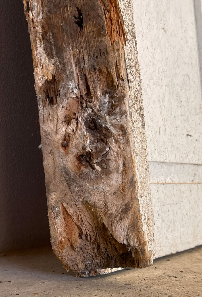 Dobbelt fyldningsdør med karm