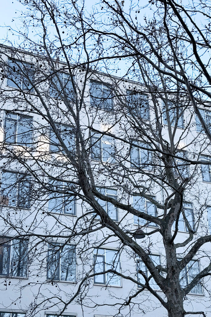 New Yorker vindue 264x179 cm