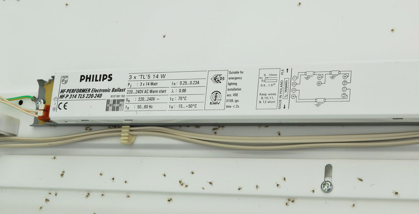 PHILIPS Lysarmatur 3 x 14W