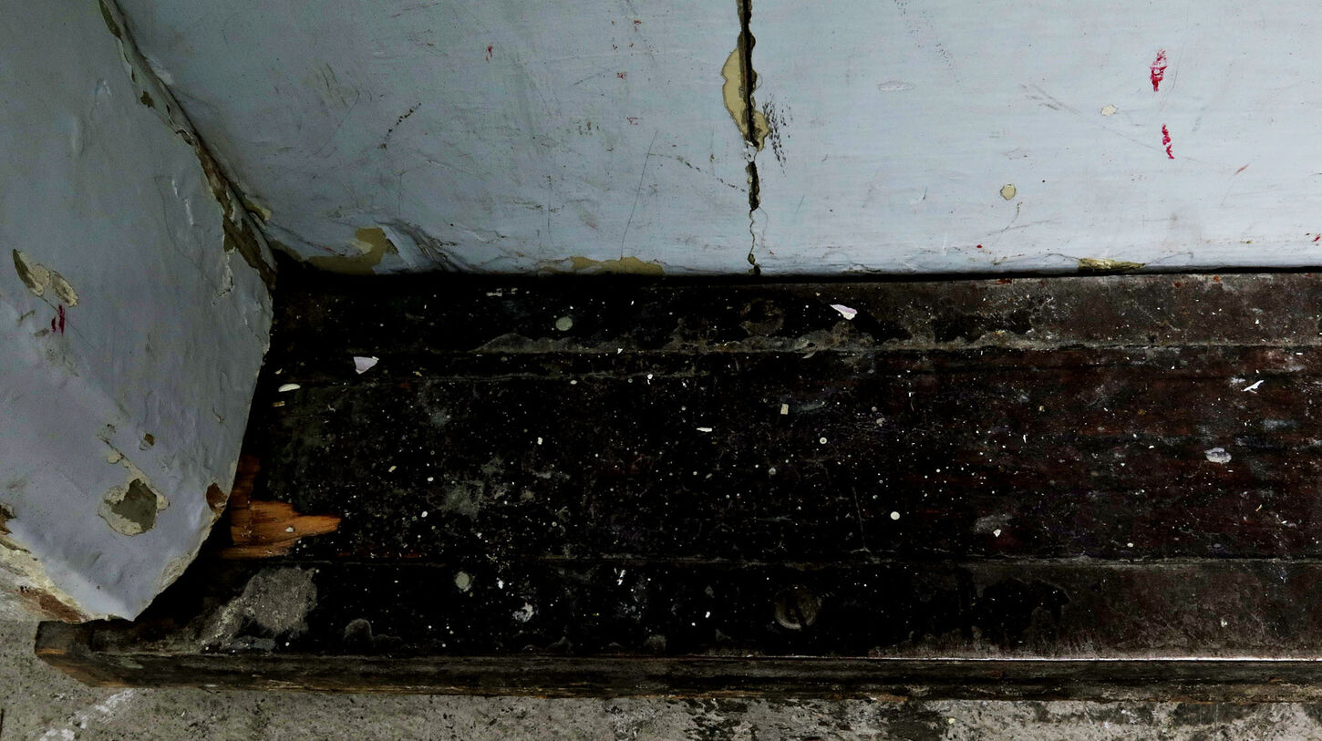 fyldningsdør med karm og skade. fyldningsdør med karm og skade.