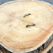 Træskive i Tali træ - 1,2 meter i diameter (10 cm tyk)