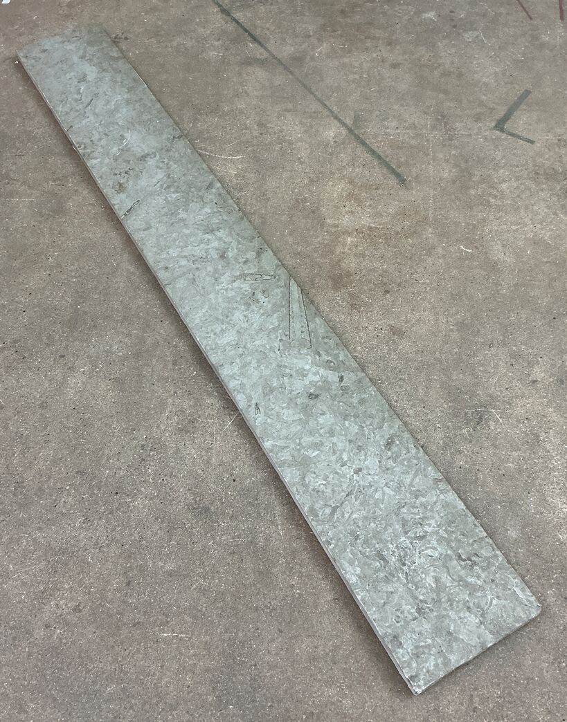 Ølandssten med to fossiler