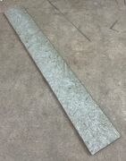 Ølandssten med to fossiler