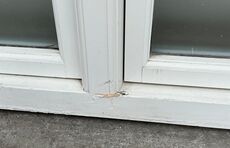 Grønt højt energivindue