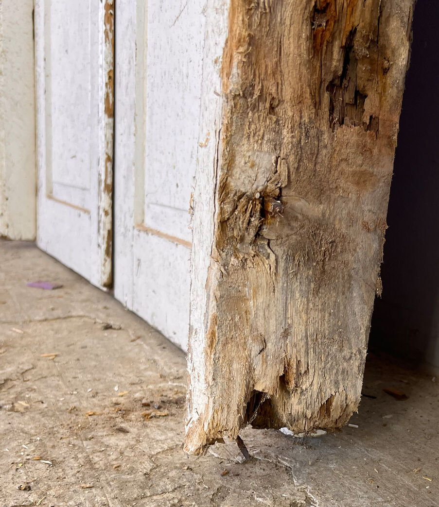 Dobbelt fyldningsdør med karm