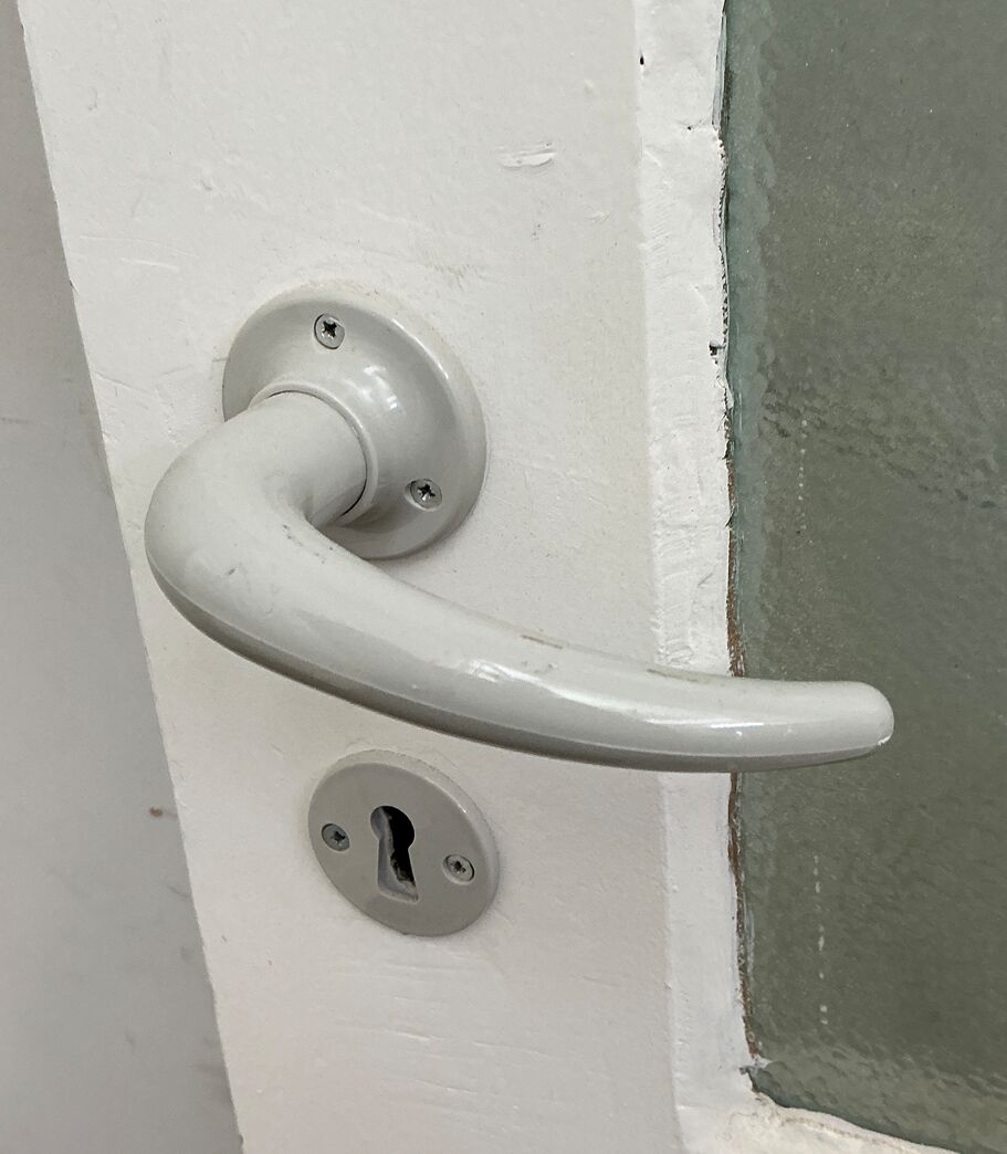 Fyldningsdør med glas / Skillerumsvæg