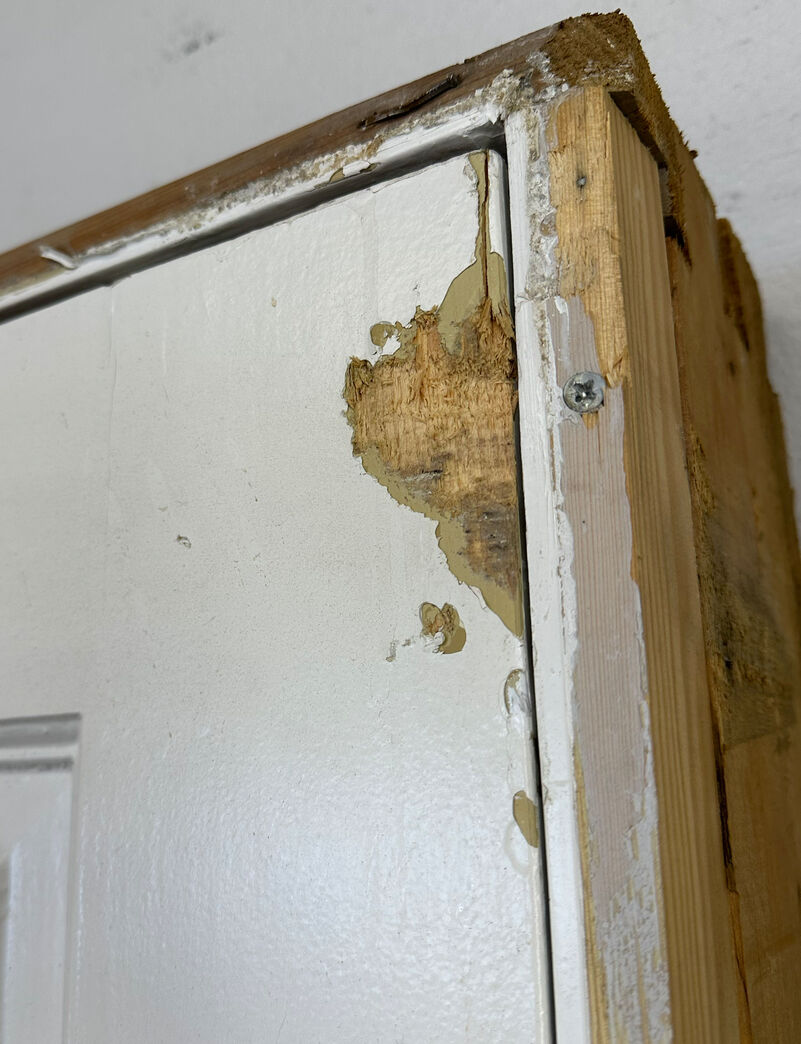 Fyldningsdør med karm